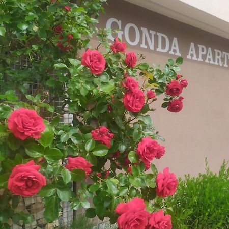 Gonda Apartments Hradec Králové Kültér fotó