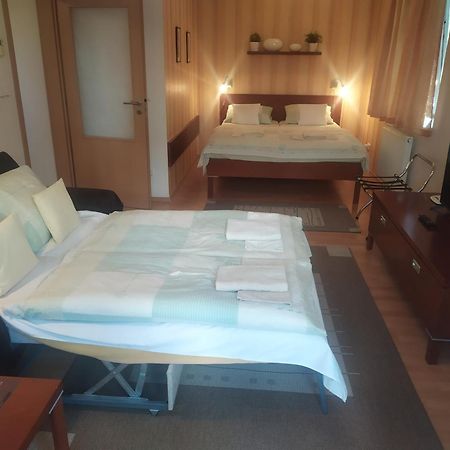 Gonda Apartments Hradec Králové Kültér fotó