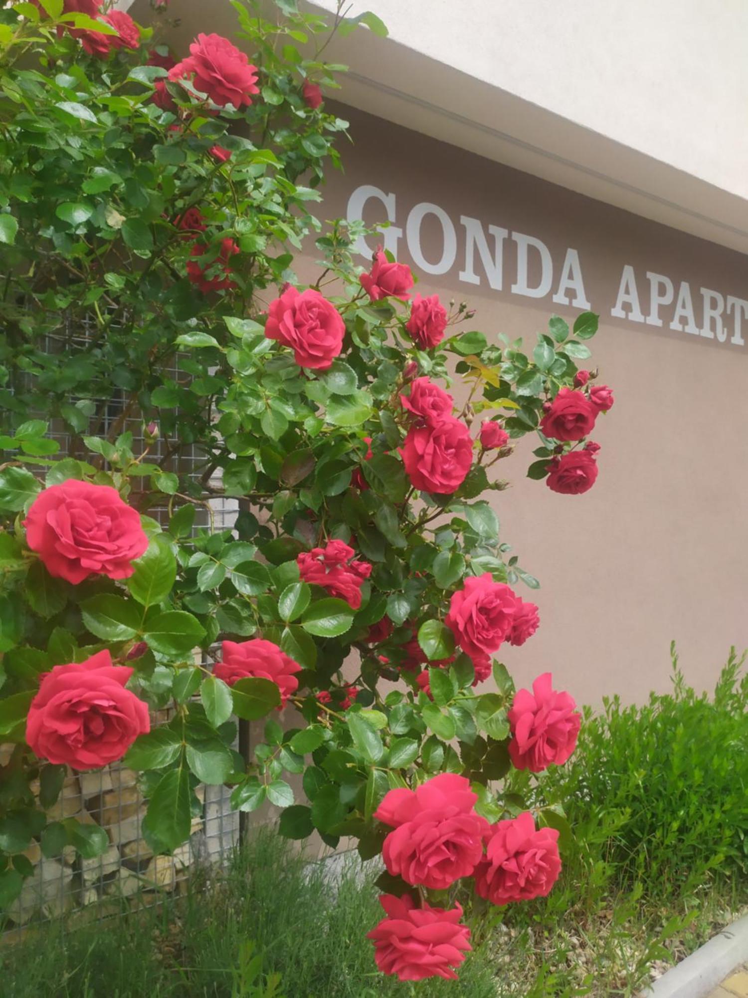 Gonda Apartments Hradec Králové Kültér fotó